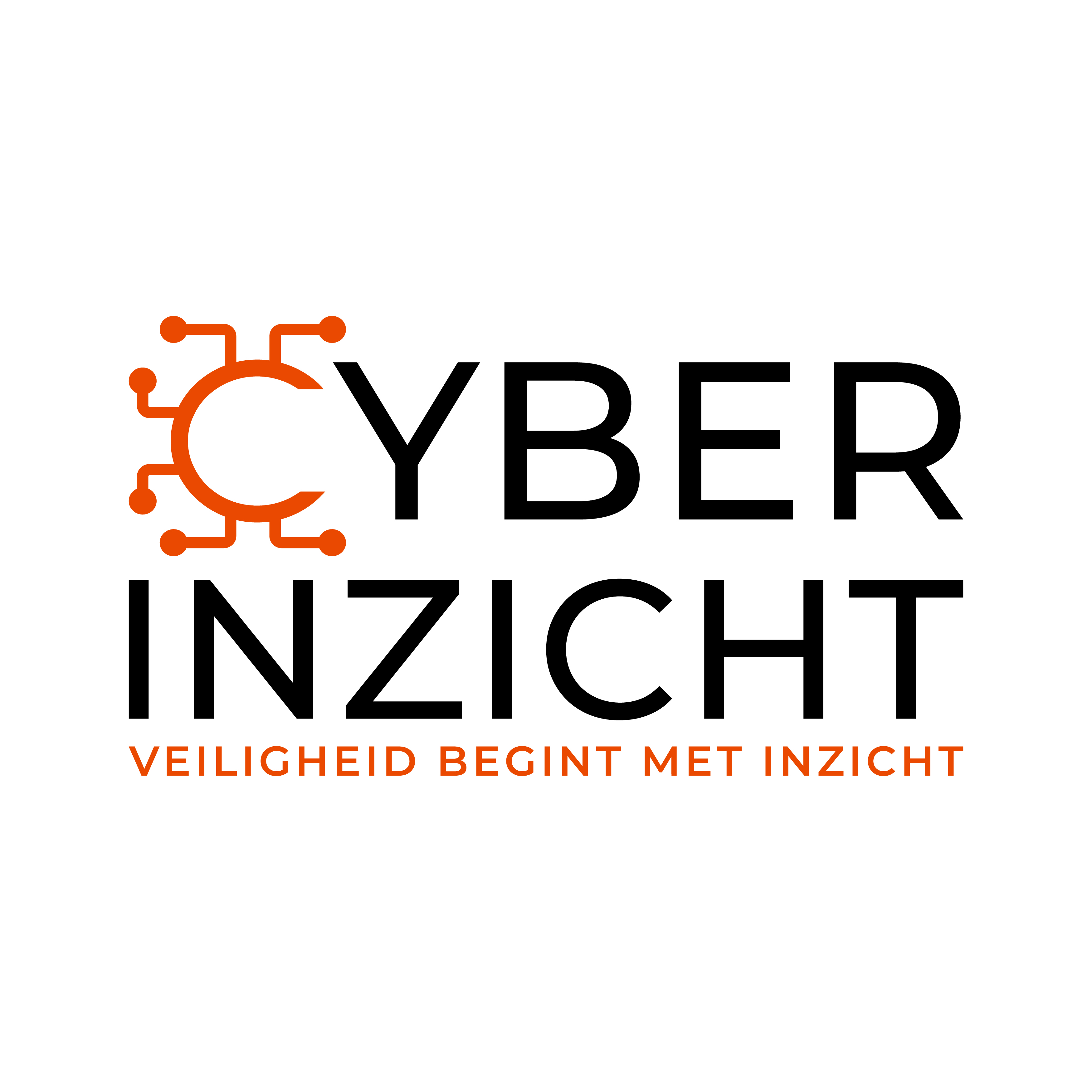 Cyberinzicht